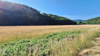 Pozemok Bartošova Lehôtka - 3