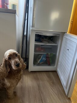 Plne funkčná chladnicka s mraznickou - 3