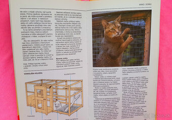 Vaša mačka a mačiatko. - 3