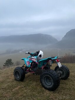 Yamaha blaster 200 2t - 3