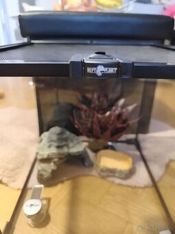 Repti planet terárium 30x30x30 - 3