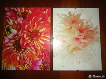 Obrazy - 3