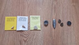 Skameneliny + amonit miska - 3