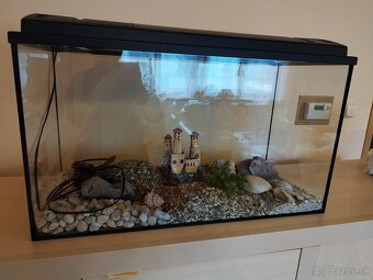 Akvarium - 3