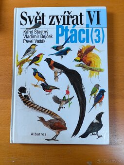 Svět zvířat - Ptáci - 3