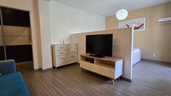 Na predaj veľký 1-izbový byt s výmerou ako 2-izbový – Svidní - 3