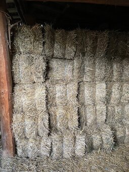 Predám seno, slamu - 3