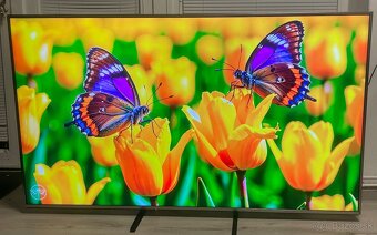 SMART TV  PANASONIC TX-65CXW704-165cm-4K - 3