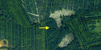 LESNÉ POZEMKY 15.563m2, BORSKÝ MIKULÁŠ, okr. SENICA - 3