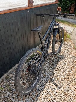 Kellys thorx - 3