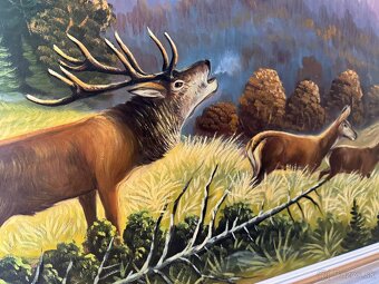 Obraz: Ruja v horskej doline - 3