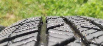 Barum Polaris 5 - 195/65 R15 - 3