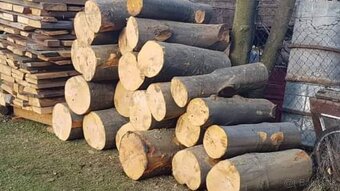 Predám smrekové palivové drevo – 80 cm, suché, 40€/prm - 3