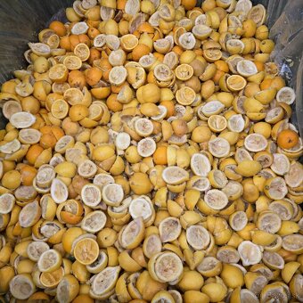 Citrusové šupy - vedľajší biologický produkt - 3