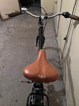 Kenzel Monterrey - 3