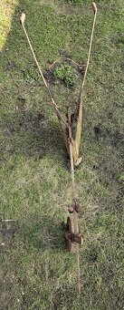 Predám starý pluh - 3