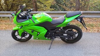 Kawasaki Ninja 250r - nízky najazd - 3