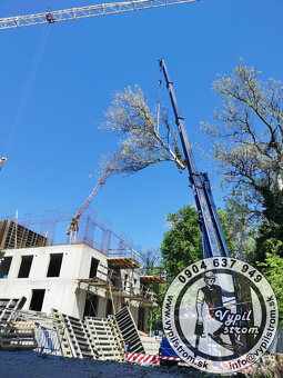 Pilenie a orezavanie stromov, kosenie a udrzba zahrad - 3