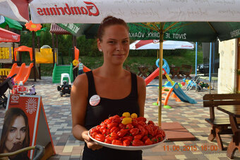 KUCHÁR - KUCHÁRKA - 3