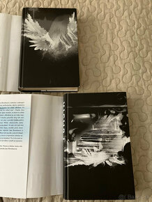 Emelie Schepp: Pomsta (2. diel Jana Berzeliusová) - 3