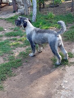 Krytie Bradáč stredný - 3