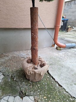 Vianočný stromček - 3