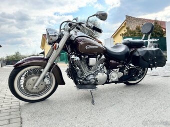 XV 1600 wildstar - 3