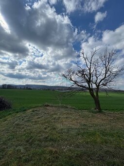 Na predaj vinica Sahy - 3