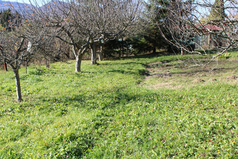 EXKLUZÍVNE-SPEKTRUM REALITY- Na Predaj  záhradná chatka s po - 3