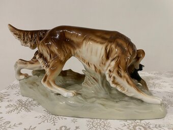 Royal dux - poľovnícky pes - 3