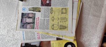 Ročník 31 abc časopisy - 3