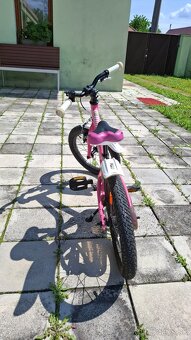 Kenzel Ziggy 16" - 3