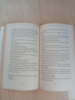 Half bad - Polozlý - 3