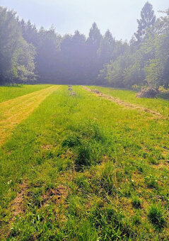 PRIPRAVUJEME DO PREDAJA - RD /Chata v Zlatníkoch - 3