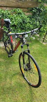Specialized Rockhopper 29" - 3