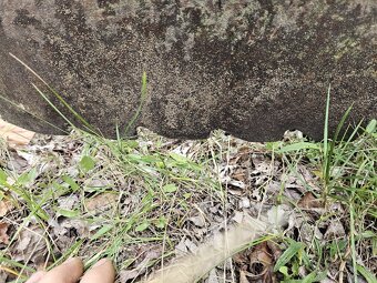 Vyrovnávač pôdy+tahac na na 4ks brany - 3