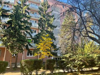 Zariadený 2i byt Zálužická Ružinov - ihneď k dispozícii - 3