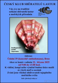 Porcelánovec krúžkový 10 kusov - 3