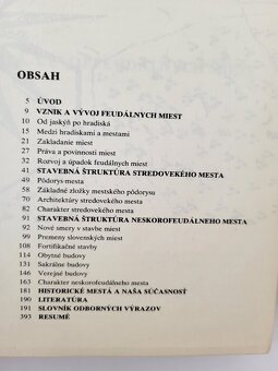 Ladislav Šášky - Kamenná krása našich miest - 3