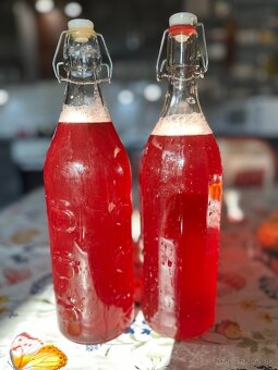 Kombucha + nálev - 3