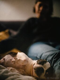 fujifilm gfx 50sii - 3