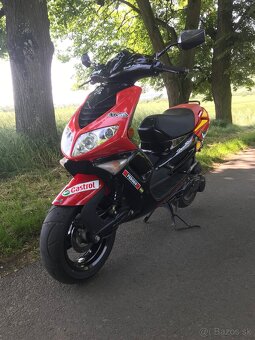 Peugeot speedfight 2 - 3