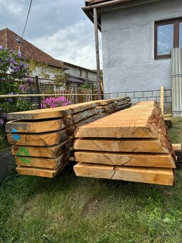 Dubové nadrozmerné kmene - 3