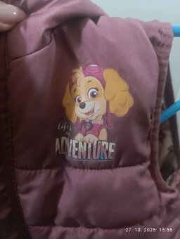 Vesta paw patrol - 3