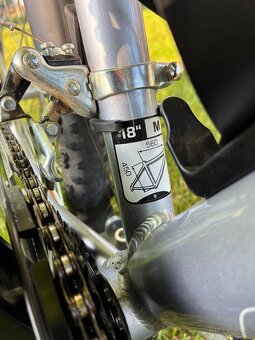 Dema damsky bicykel Pegas 26 - 3