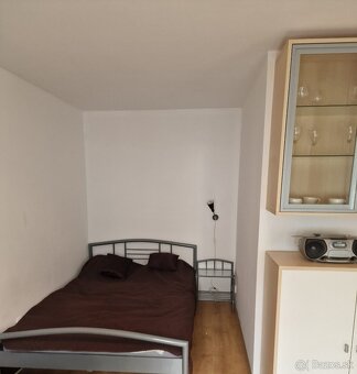 Prenájom 1,5 izbového bytu typu bauring PETS FRIENDLY - 3