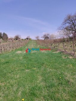 Predaj, rekreačný pozemok - Kozárovce, Pustá hora (N018-14-M - 3