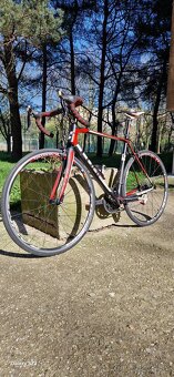 CUBE AGREE Road Race - 3
