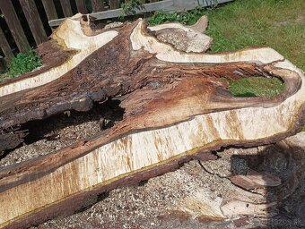 Orechove solitérne fosne na zaliatie živicou - 3