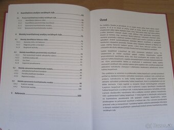 Manažment sociálnych rizík - Katarína Kampová, Katarína Holl - 3